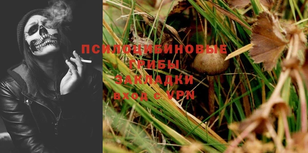 mdpv Переславль-Залесский