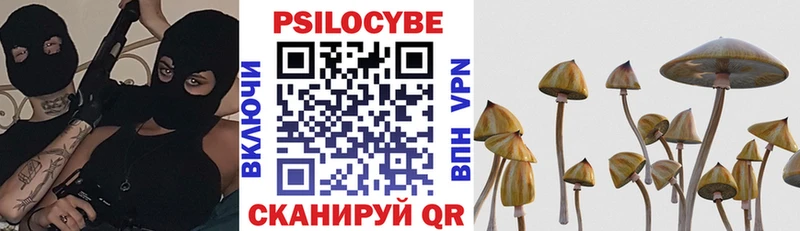 Галлюциногенные грибы Psilocybine cubensis  Купить  Иланский 